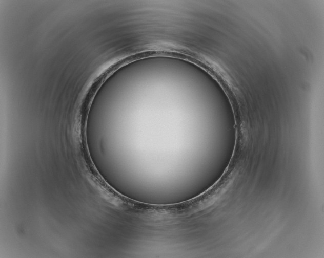 X0000110900931200906181320