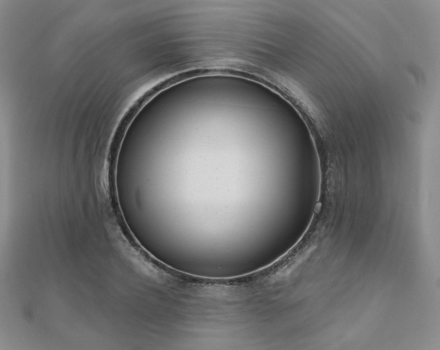 X0000110900932200906181320