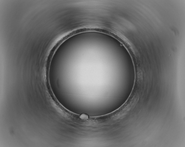 X0000110900935200906181320