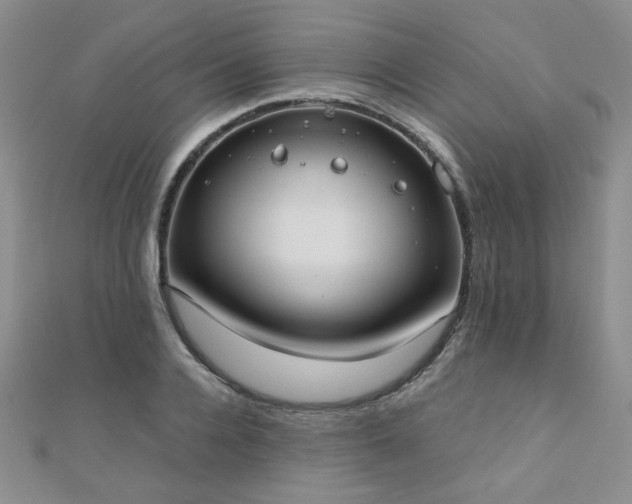 X0000110900936200906181320