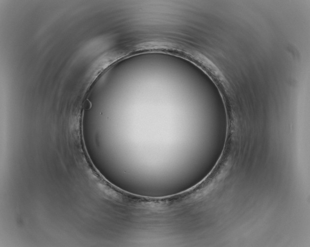 X0000110900937200906181320
