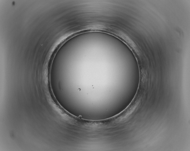 X0000110900939200906181320