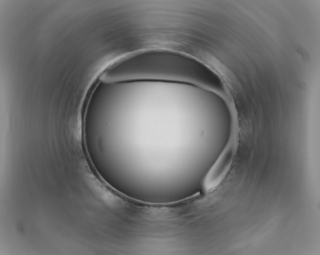 X0000110900940200906181320