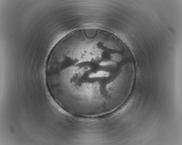 X0000110900941200906181320