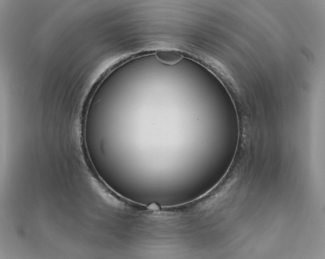 X0000110900942200906181320