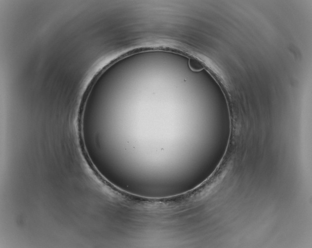 X0000110900943200906181320