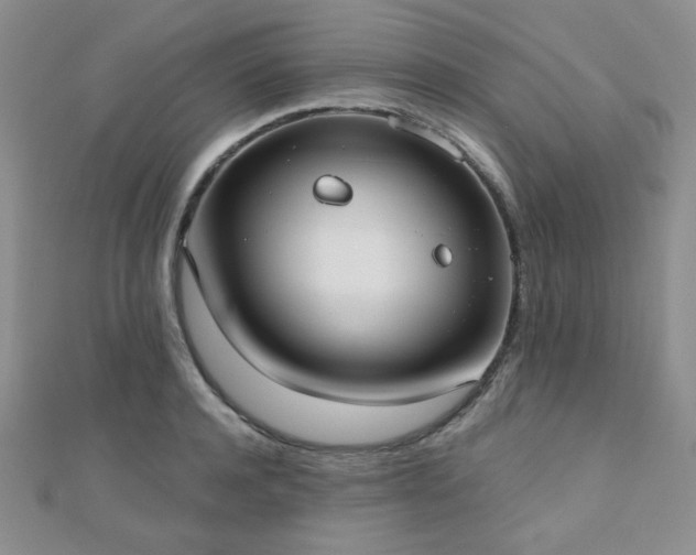 X0000110900944200906181320