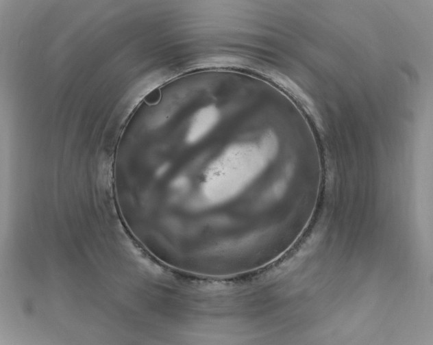 X0000110900945200906181320