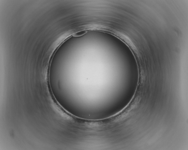 X0000110900946200906181320