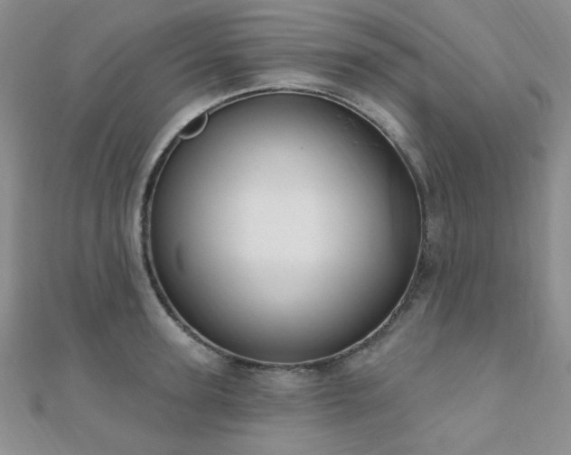 X0000110900947200906181320