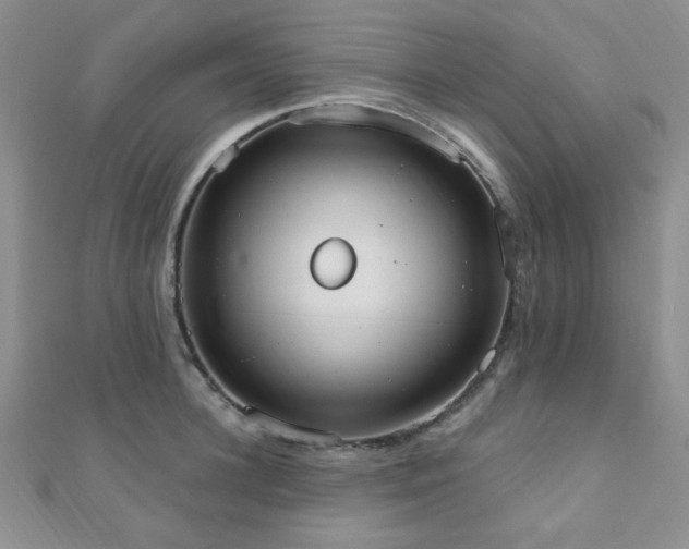 X0000110900948200906181320