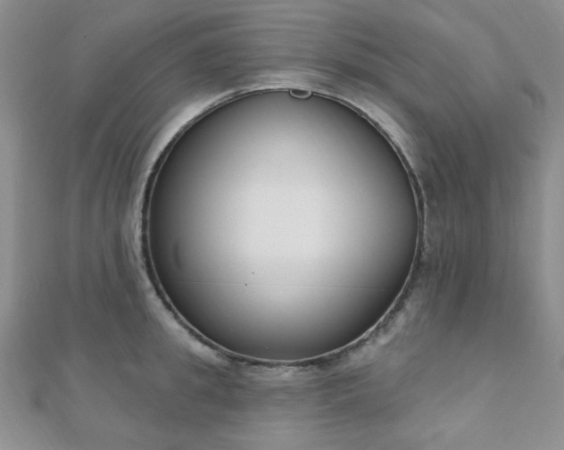 X0000110900949200906181320