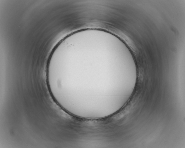 X0000110900950200906181320