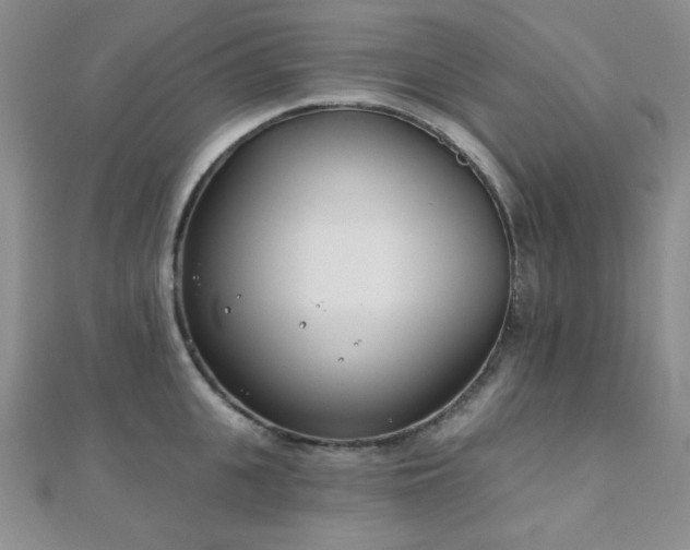 X0000110900951200906181320