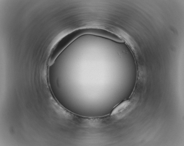 X0000110900952200906181320