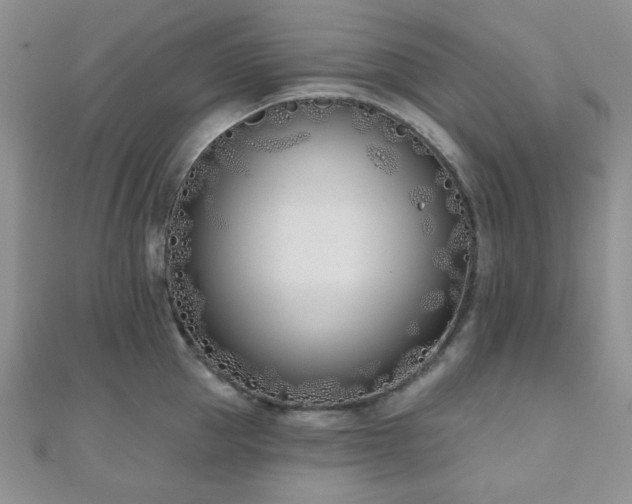 X0000110900953200906181320
