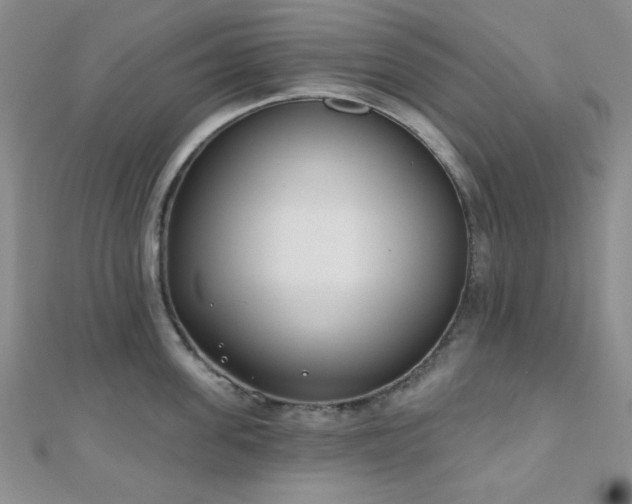 X0000110900955200906181320