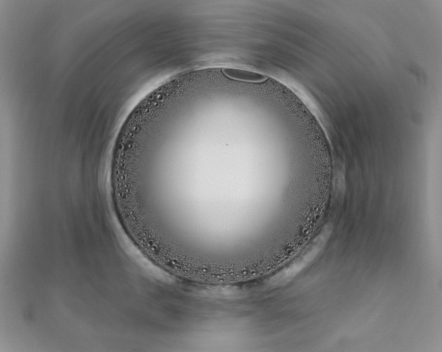 X0000110900957200906181320