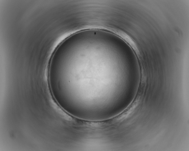 X0000110900958200906181320
