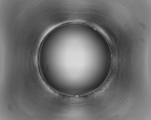 X0000110900959200906181320