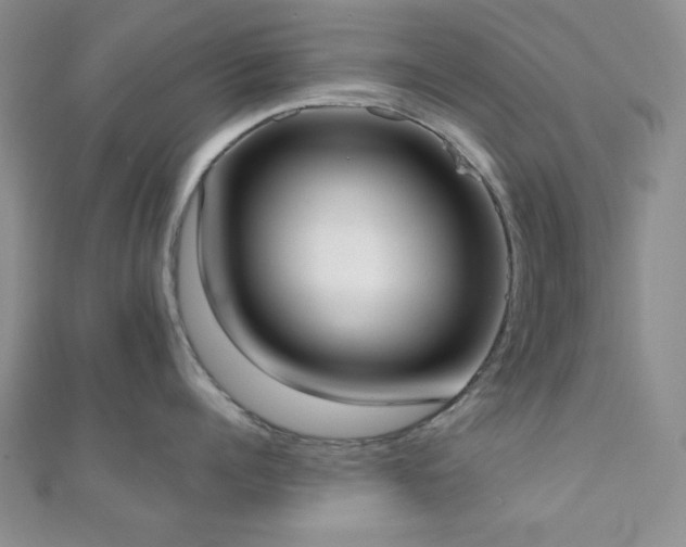 X0000110900960200906181320