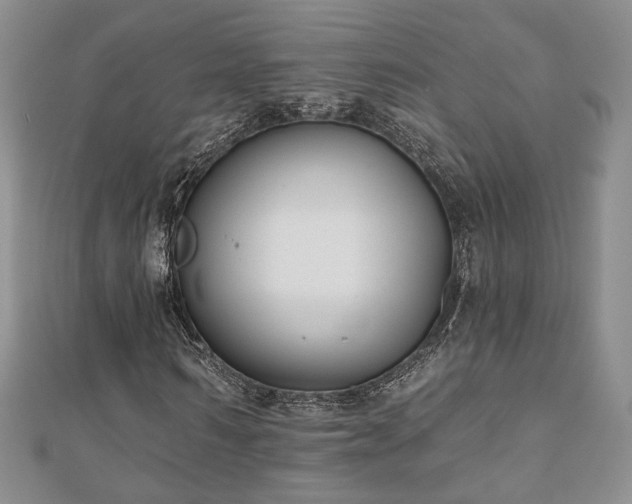 X0000110900962200906181319