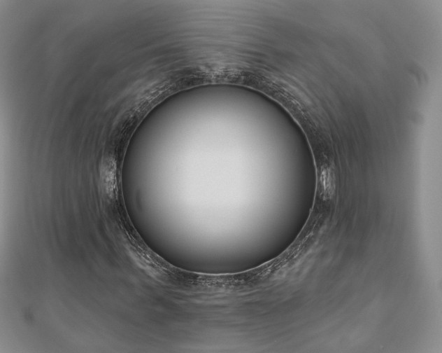 X0000110900963200906181319