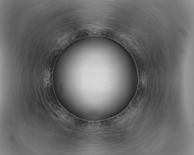 X0000110900964200906181319