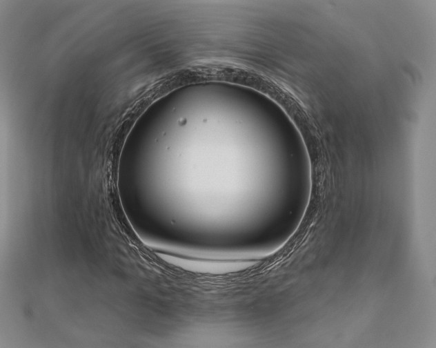 X0000110900965200906181319