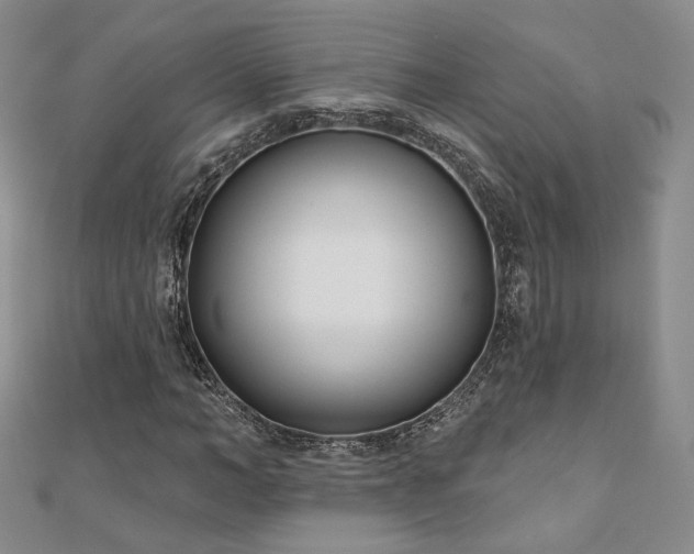 X0000110900966200906181319