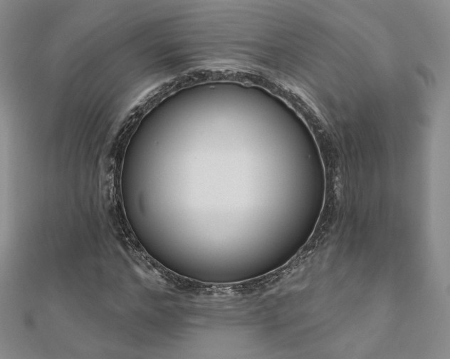 X0000110900968200906181319