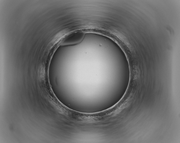 X0000110900969200906181319