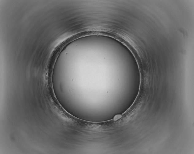 X0000110900971200906181319