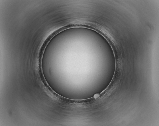 X0000110900976200906181319