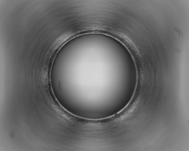 X0000110900977200906181319