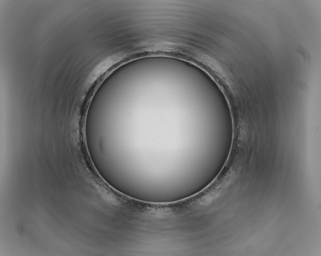X0000110900978200906181319