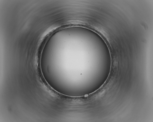 X0000110900979200906181319