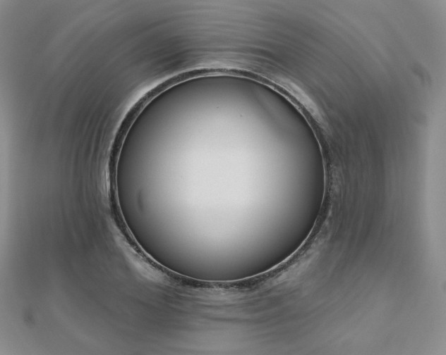 X0000110900980200906181319