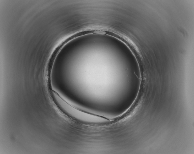 X0000110900981200906181319