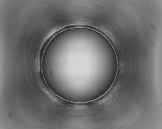 X0000110900982200906181319