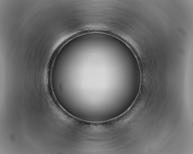 X0000110900983200906181319