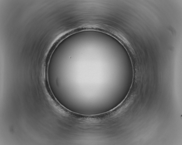 X0000110900984200906181319
