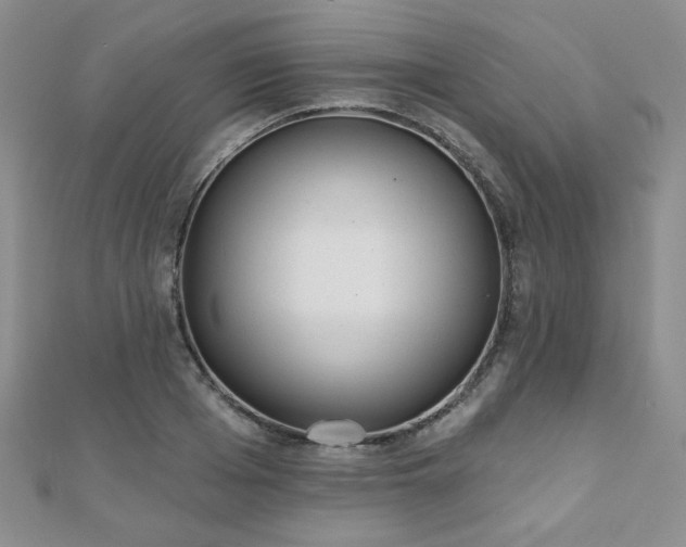 X0000110900985200906181319