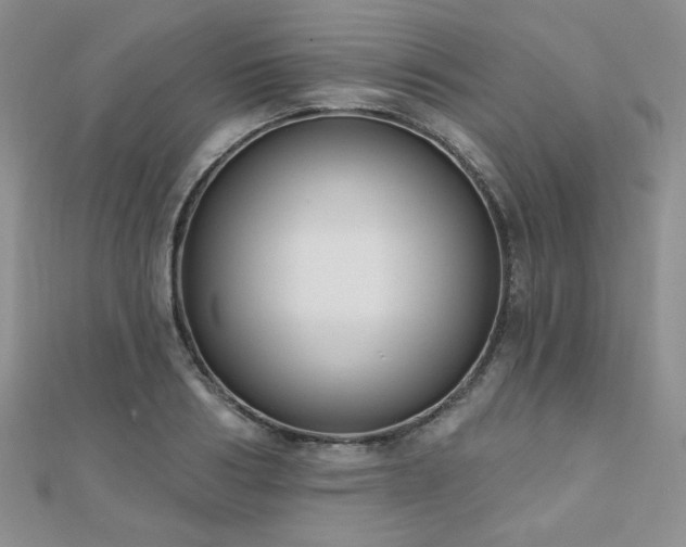 X0000110900986200906181319