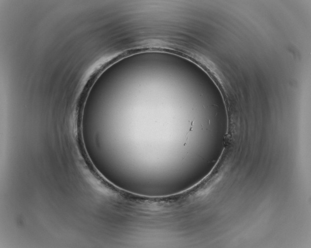 X0000110900987200906181319