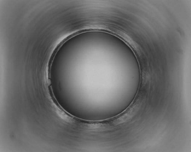 X0000110900988200906181319