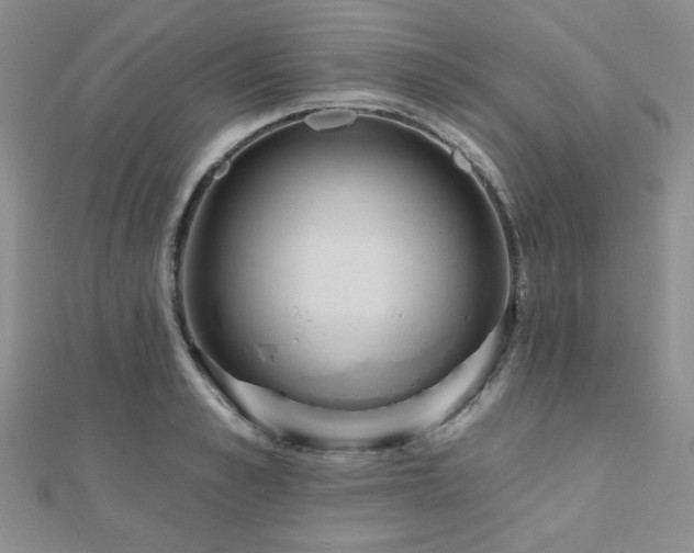 X0000110900989200906181319
