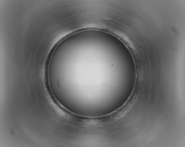 X0000110900991200906181319
