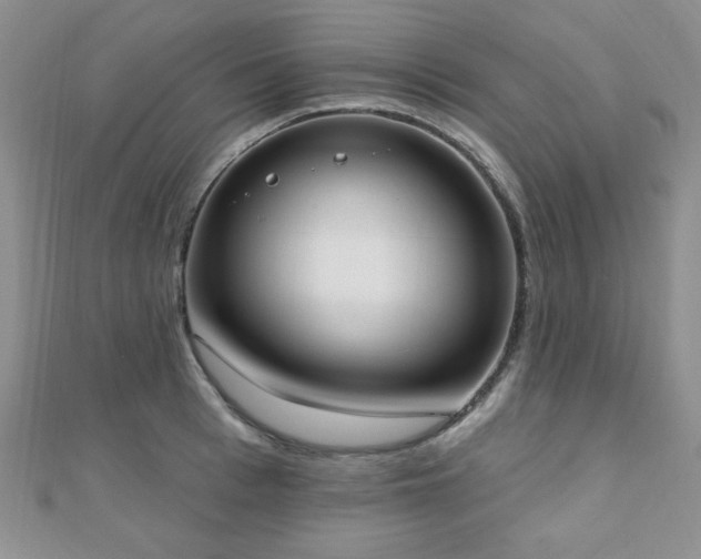 X0000110900993200906181319