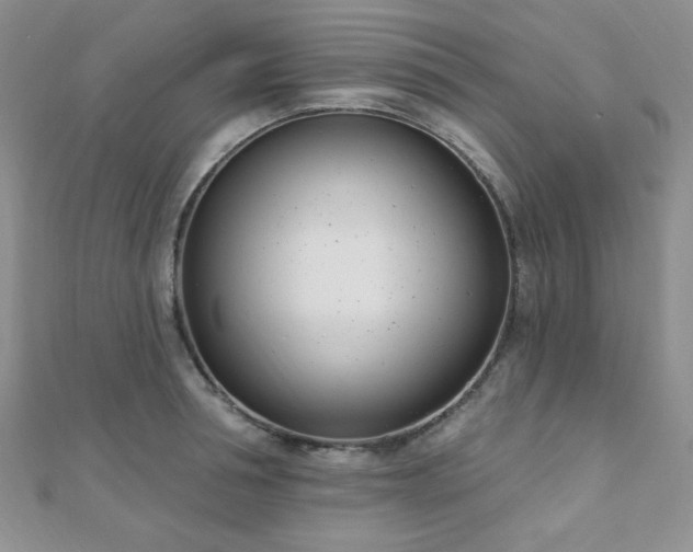 X0000110900994200906181319